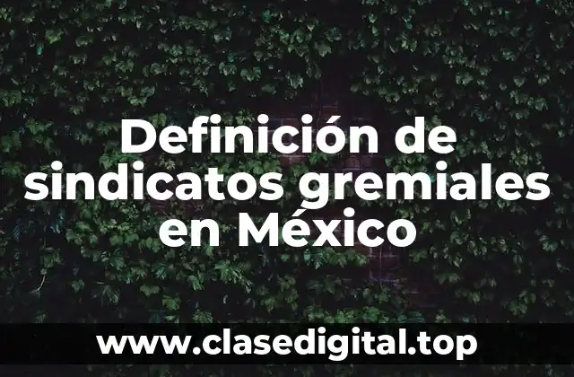 Ejemplos de sindicatos gremiales en México