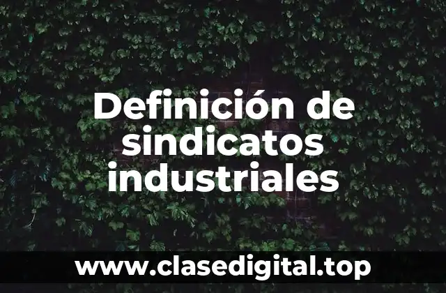 Definición de sindicatos industriales