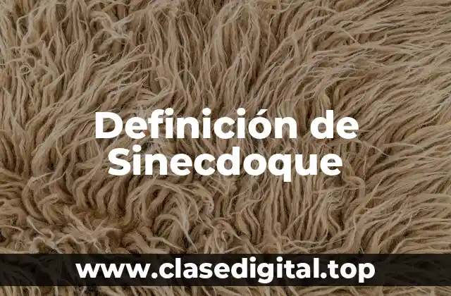 Definición de Sinecdoque