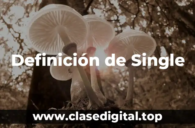 Definición de Single