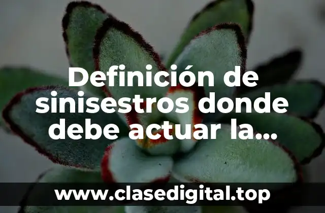 Ejemplos de sinisestros donde debe actuar la brigada de emergencias