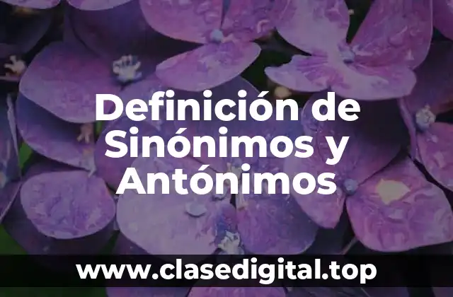 Definición técnica de Sinónimos y Antónimos