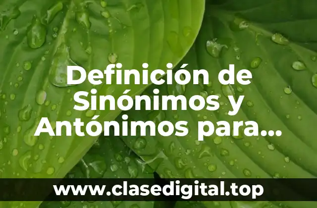 Definición técnica de Sinónimos y Antónimos