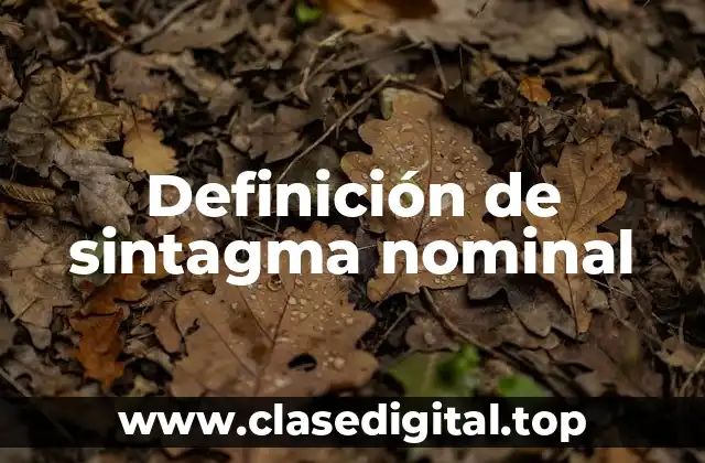 Ejemplos de sintagma nominal