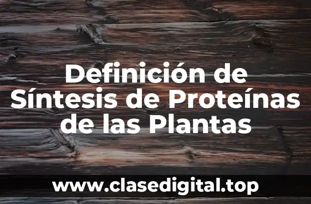 Definición de Síntesis de Proteínas de las Plantas