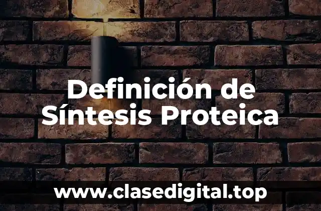 Definición de Síntesis Proteica