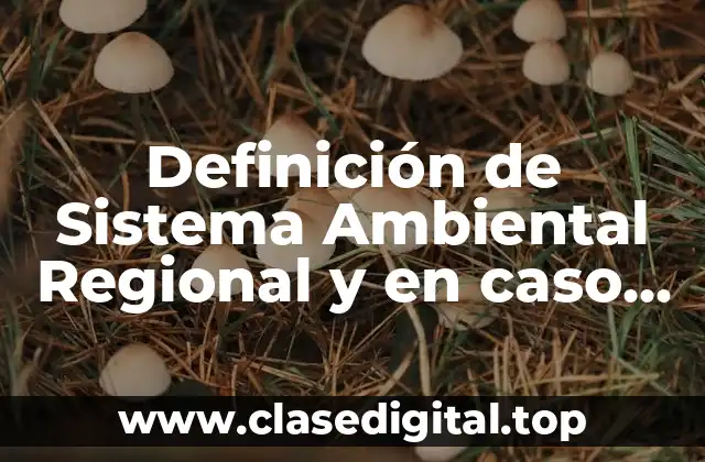 Definición de Sistema Ambiental Regional y en caso aplicable