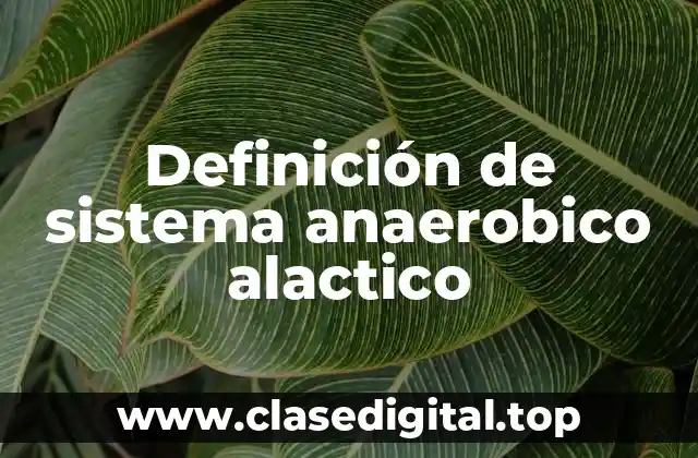 Definición de sistema anaerobico alactico