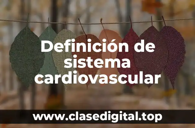 Definición de sistema cardiovascular