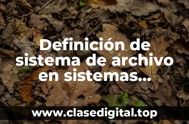 Definición de sistema de archivo en sistemas operativos