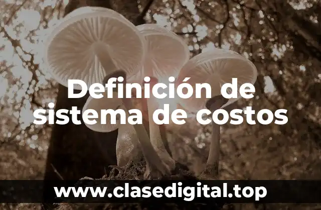 Definición de sistema de costos