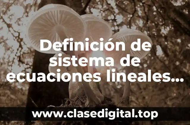Definición de sistema de ecuaciones lineales algebra lineal