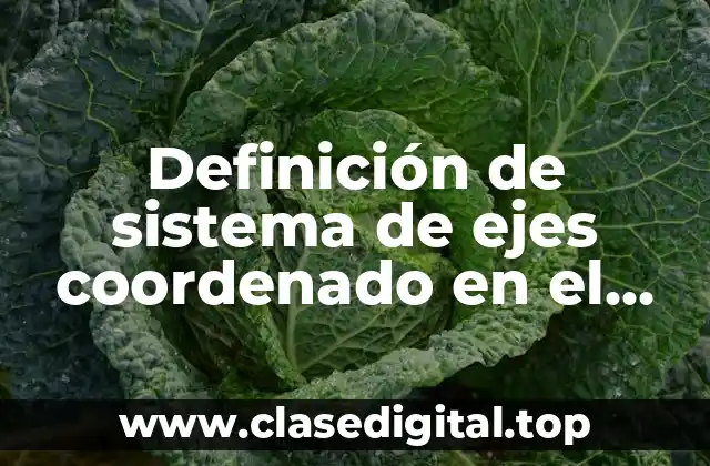 Definición de sistema de ejes coordenado en el plano