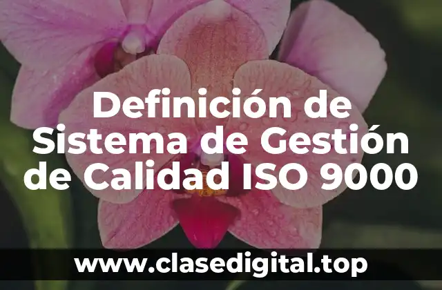 Definición de Sistema de Gestión de Calidad ISO 9000