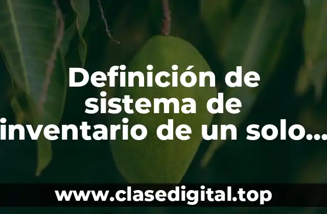 Definición de sistema de inventario de un solo período