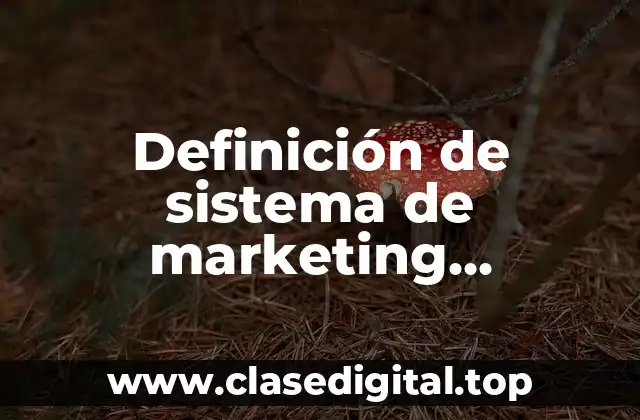 Definición de sistema de marketing multicanal