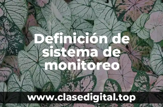 Definición de sistema de monitoreo