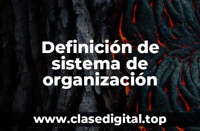 Definición de sistema de organización
