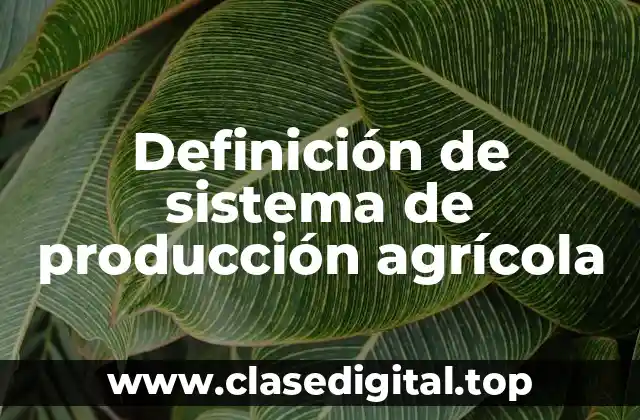 Definición de sistema de producción agrícola