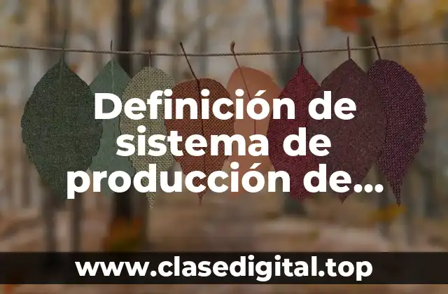 Definición técnica de sistema de producción de bienes y servicios