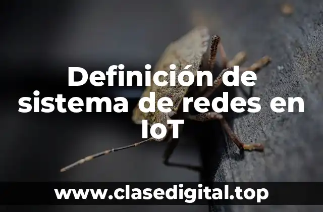 Definición de sistema de redes en IoT