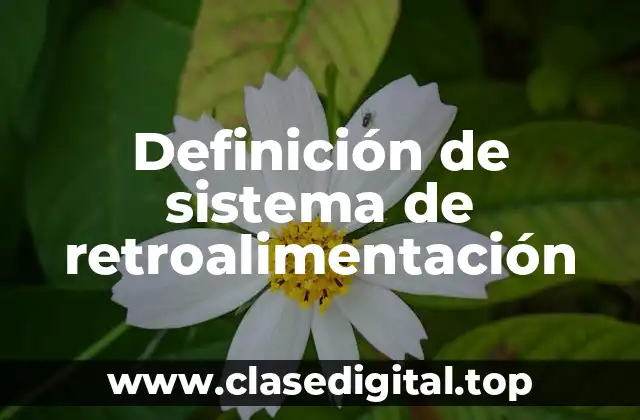Definición de sistema de retroalimentación