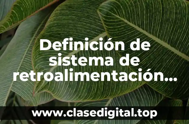 Definición de sistema de retroalimentación negativa en el cuerpo humano