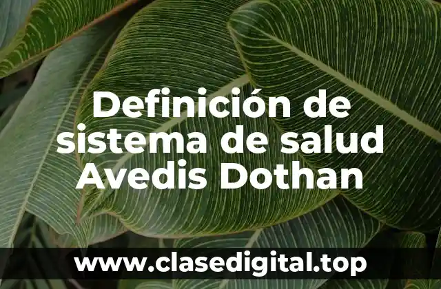 Definición de sistema de salud Avedis Dothan