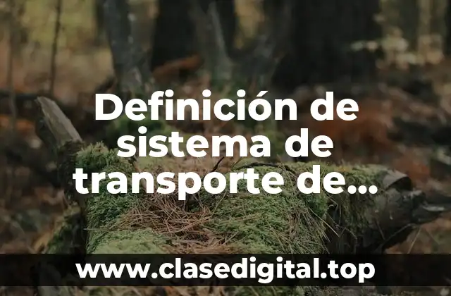 Definición técnica de sistema de transporte de materiales solidos