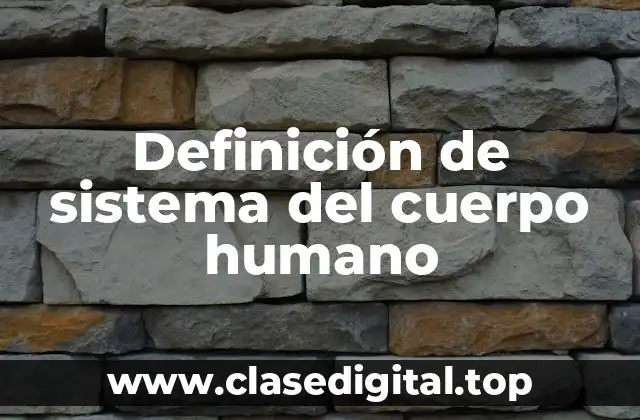 Definición técnica del sistema del cuerpo humano