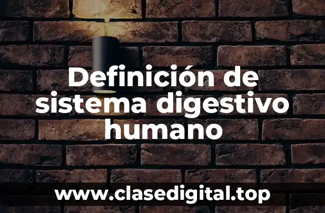 Definición de sistema digestivo humano