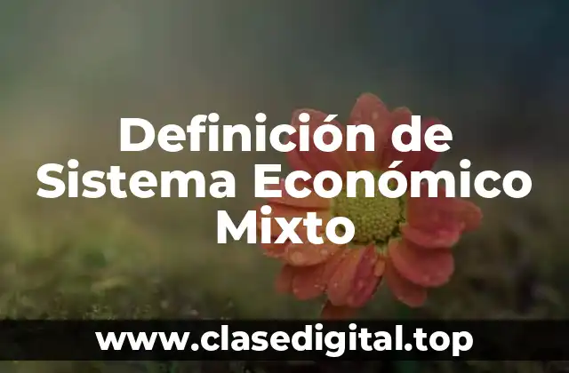 Definición de Sistema Económico Mixto
