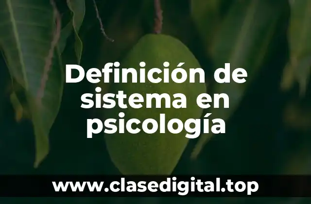 Definición de sistema en psicología