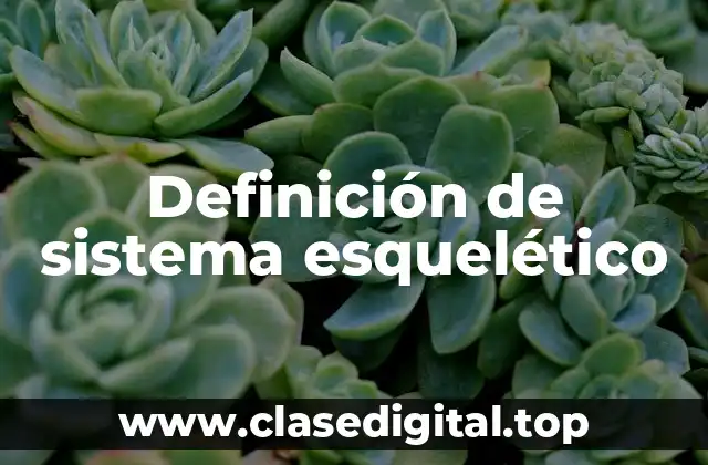 Definición de sistema esquelético