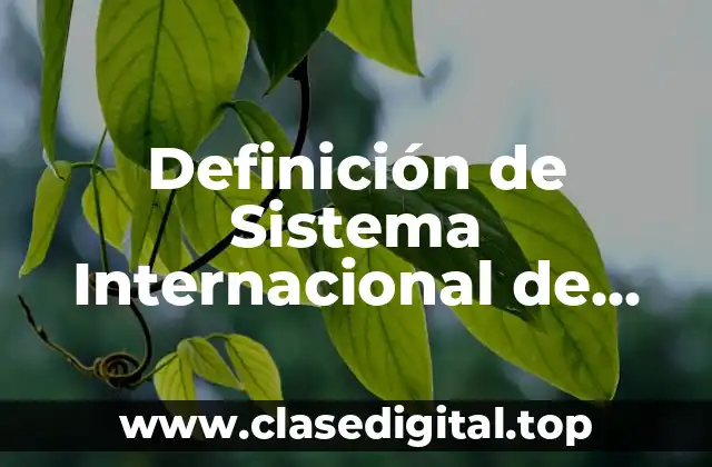Definición de Sistema Internacional de Medidas