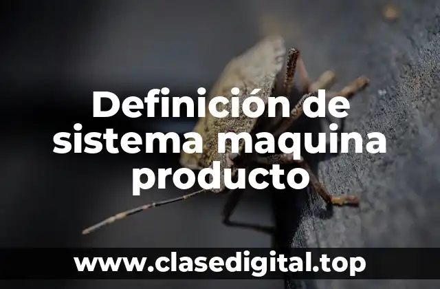 Definición de sistema maquina producto