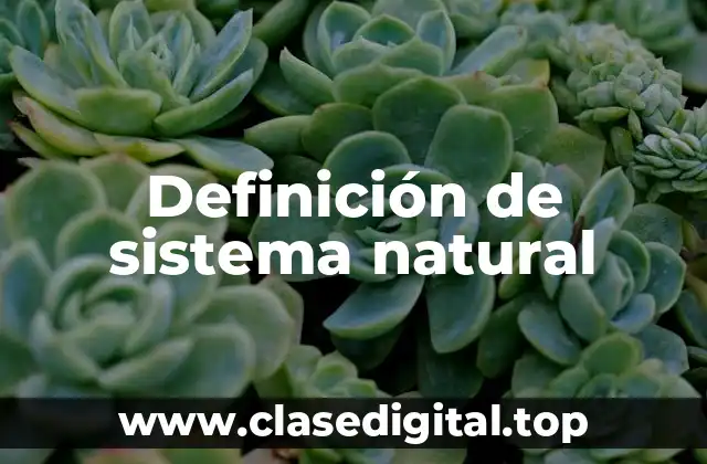 Definición de sistema natural
