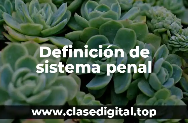 Definición de sistema penal
