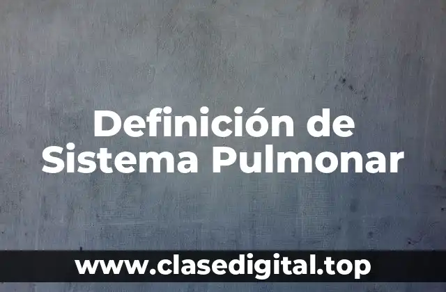 Definición de Sistema Pulmonar