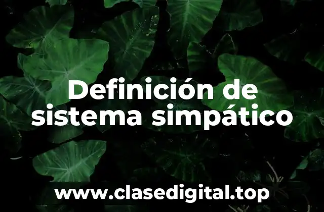 Definición de sistema simpático