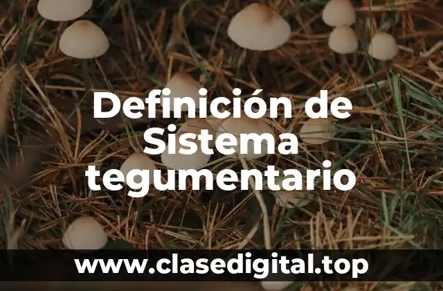 Definición de Sistema tegumentario