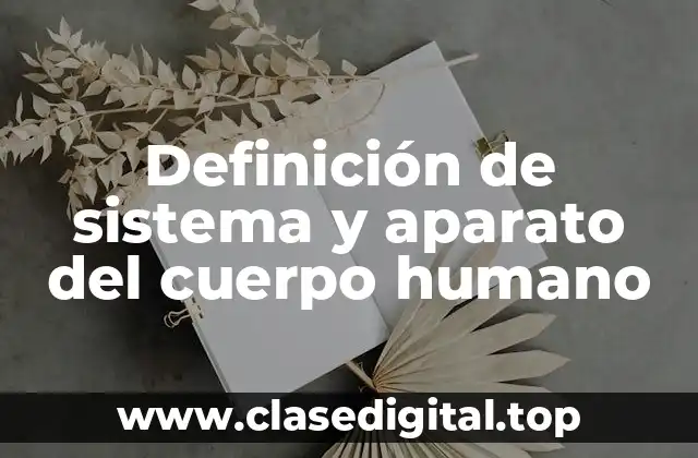 Definición de sistema y aparato del cuerpo humano