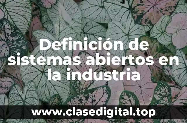 Definición de sistemas abiertos en la industria