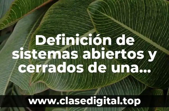 Definición de sistemas abiertos y cerrados de una empresa