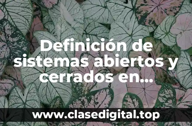 Ejemplos de sistemas abiertos y cerrados en administración