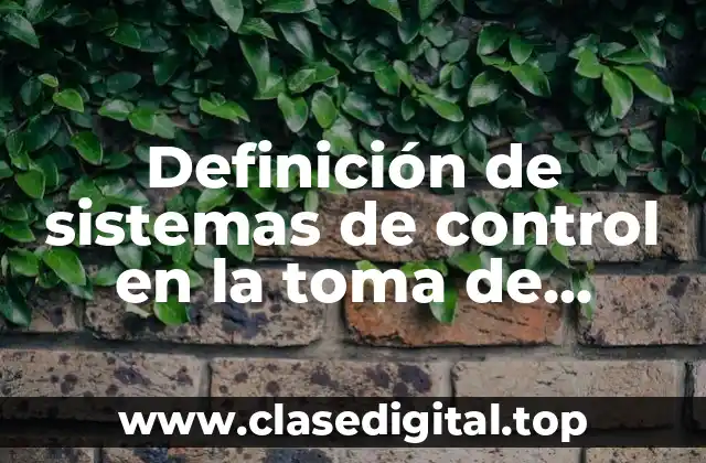Definición de sistemas de control en la toma de decisiones