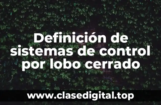 Definición de sistemas de control por lobo cerrado