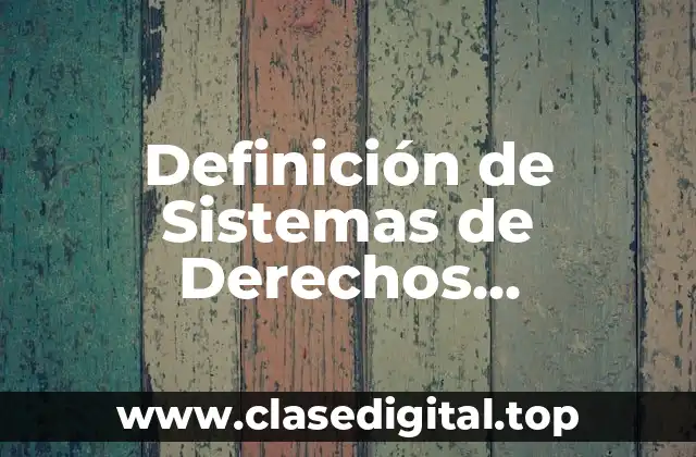 Definición de Sistemas de Derechos Informáticos