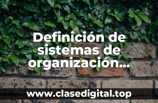 Definición de sistemas de organización productiva