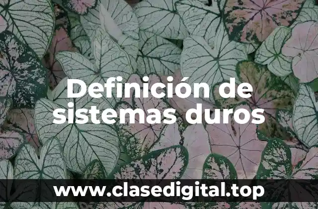Definición técnica de sistema duro